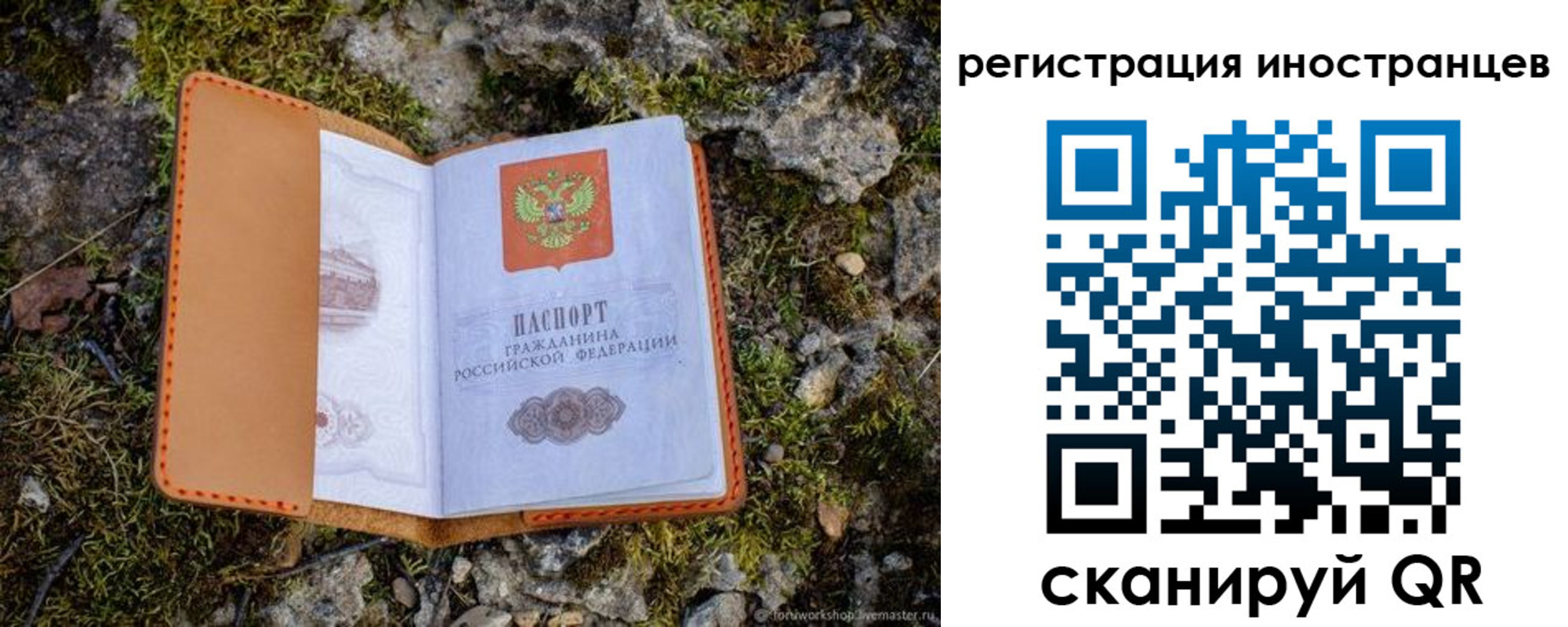 прописка паспорт в Щиграх
